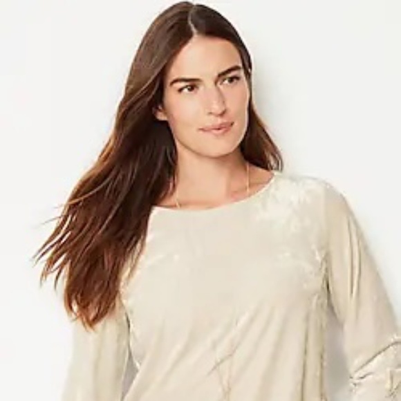 NWT J. Jill Crushed Velvet A-Line Top (4X) - Picture 2 of 16